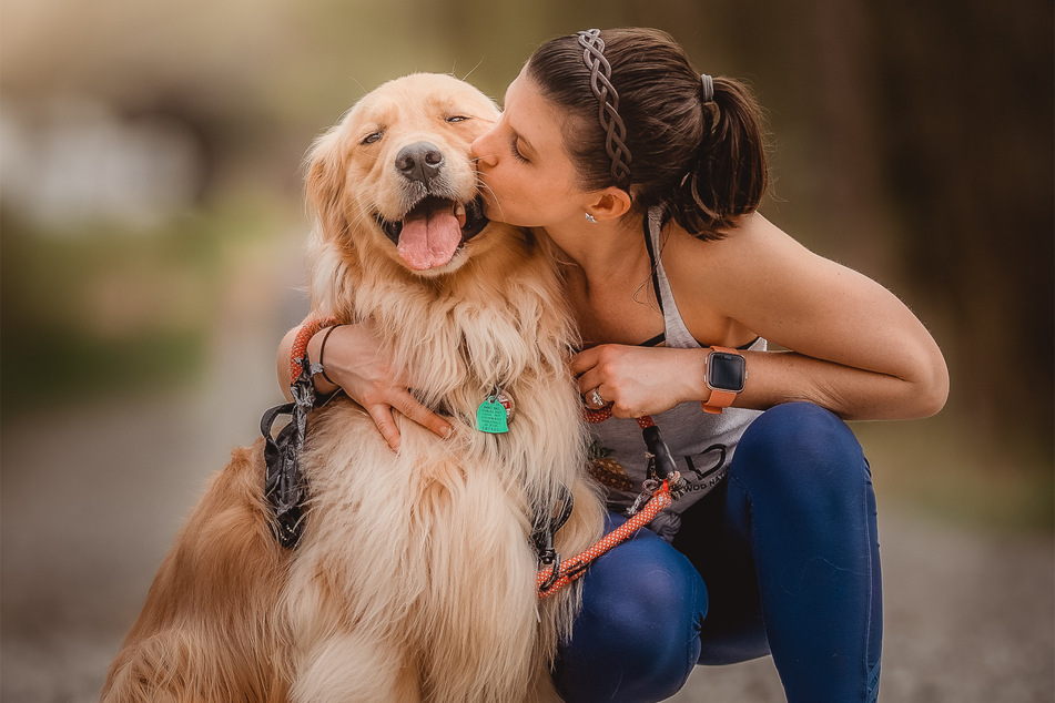 Golden retrievers are some of the cutest dogs in the world, but also quite sporty.