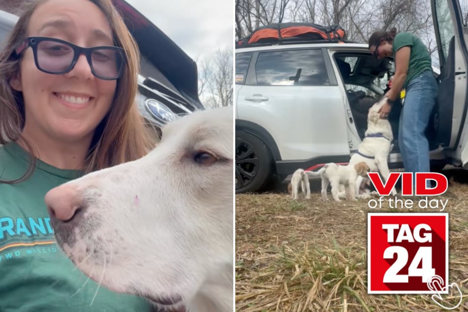 This woman was driving cross-country when she spotted an abandoned mama dog and her two puppies on the side of a remote Oklahoma road – and she didn't hesitate for a second!