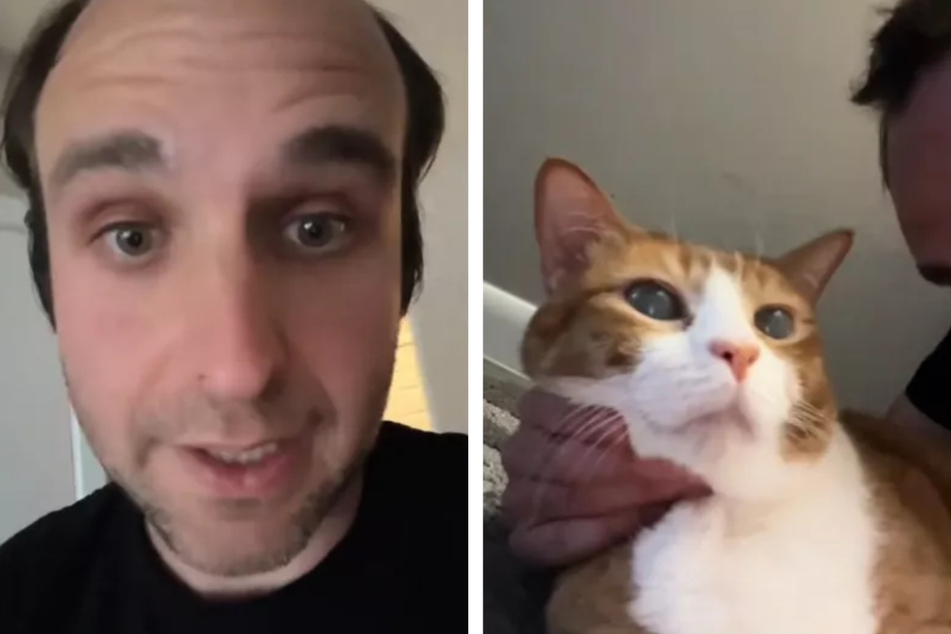 Trey Yates was very worried about his cat – and received a diagnosis from the vet that he hadn't expected.
