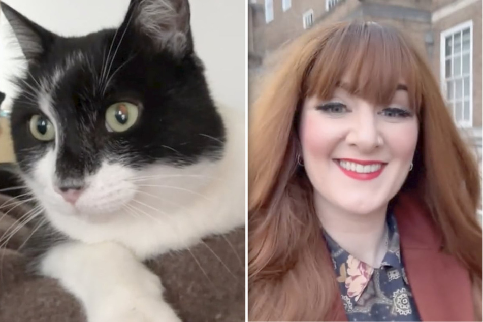 Cat crashes woman's vacation sleep in Italy!