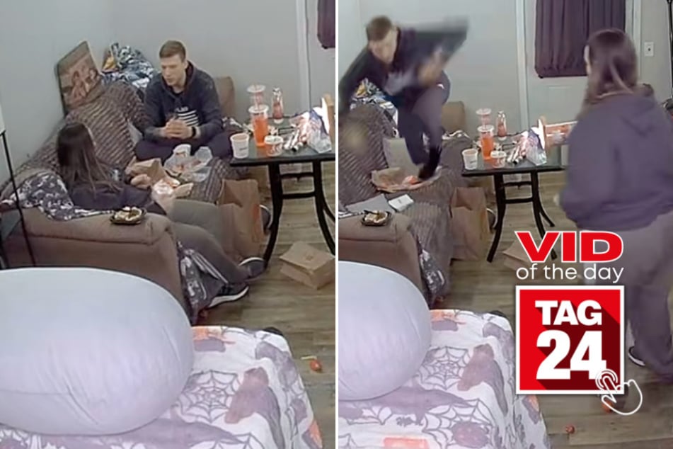 Viral Video of the Day for November 11, 2025: Guy's wild reaction to spider has TikTok dying laughing