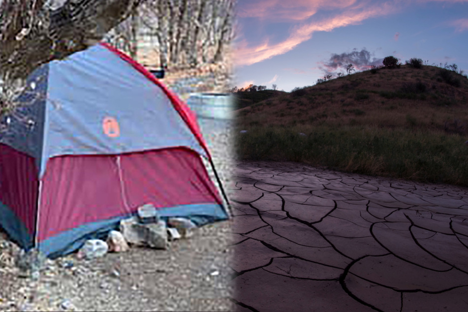 Woman lives alone in the wilderness for months, feeding only on moss and grass
