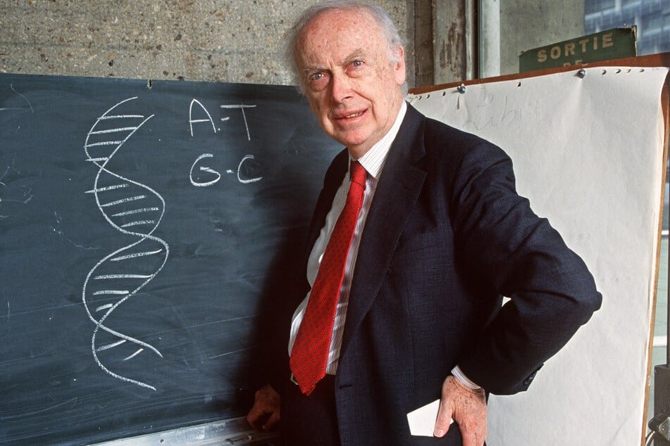 Picture taken on April 23, 1993, in Paris of American geneticist James Dewey Watson in front of a blackboard, explaining his work to discover the molecular structure of DNA for which he shared the 1962 Physiology and Medicine Nobel Prize with British Francis Crick and Maurice Wilkins.