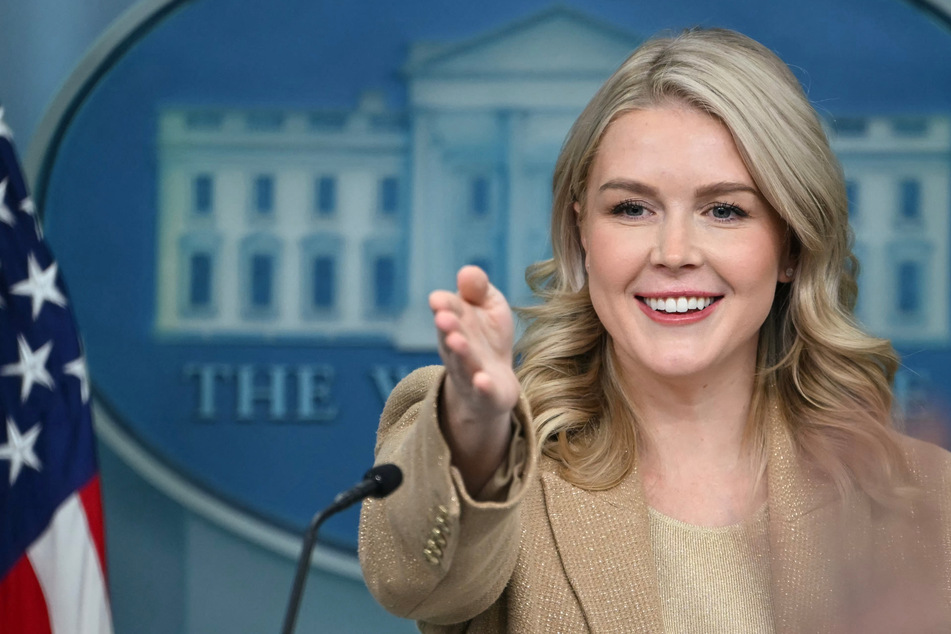 ICE's attempt to deport Karoline Leavitt's family member paused by court decision