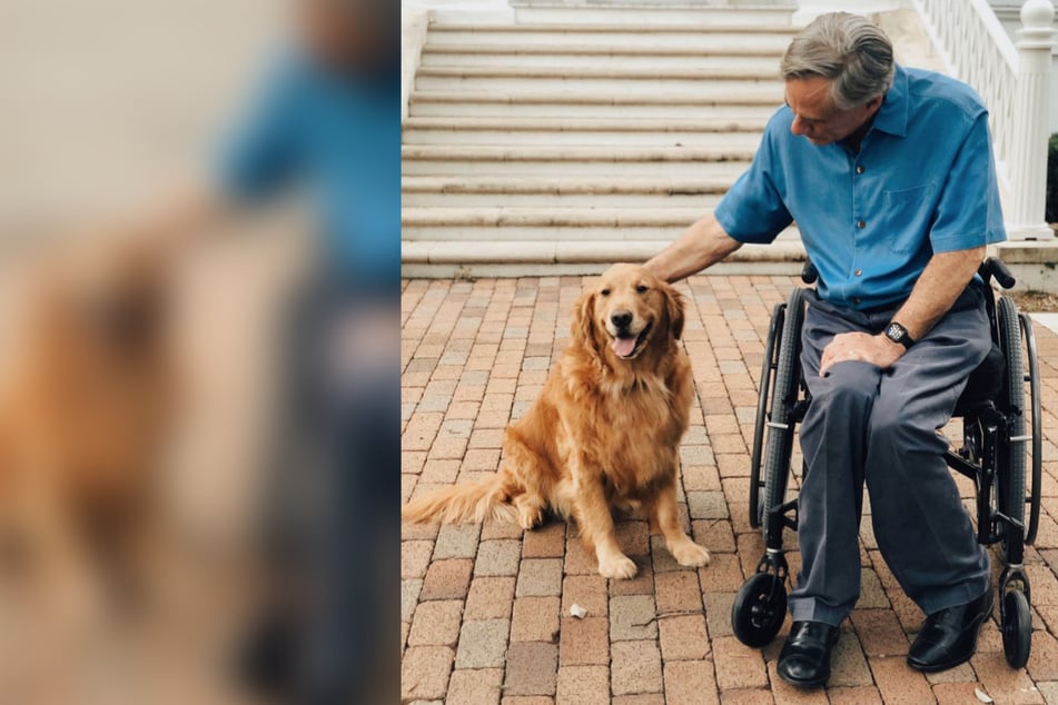 Texas Governor Greg Abbott refuses to sign dog cruelty prevention bill