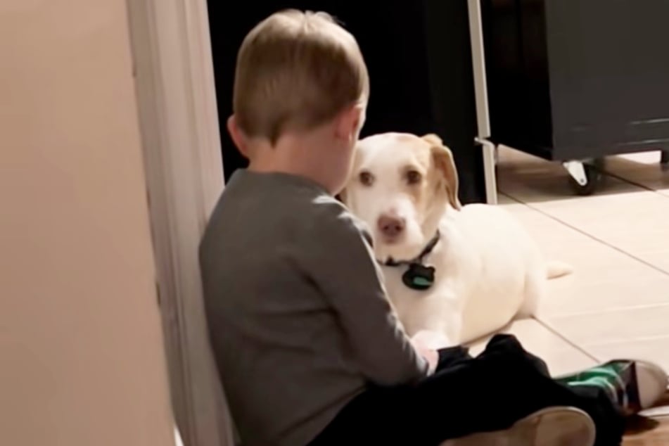 Alfie and Jack had to have a serious talk after the little dog tried to run away from home.