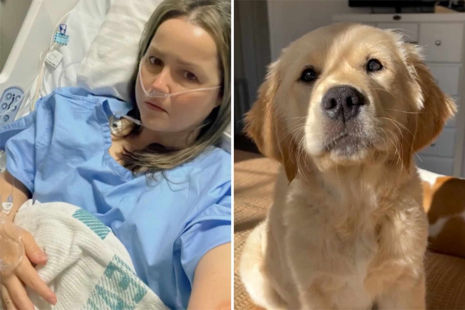 Heroic puppy saves his mom's life during a medical emergency: "He is my world"