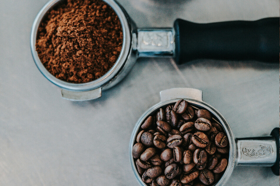 Coffee is extremely dangerous for dogs, so keep them away from it.