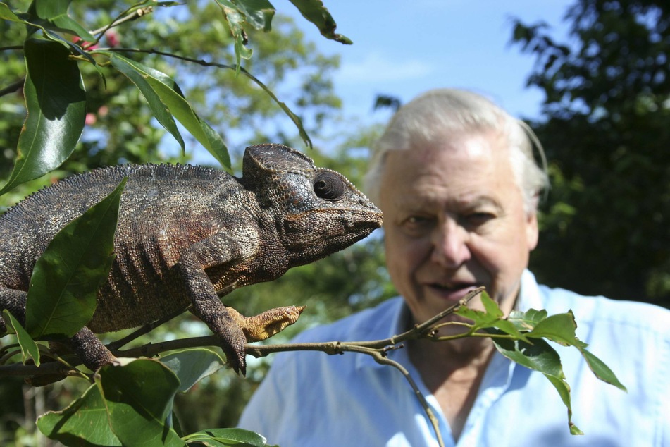 Sir David Attenborough gives royal children a special gift at Kensington Palace