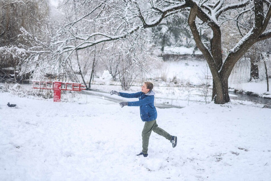 Central Park was covered in snow on Tuesday as a powerful winter storm battered the region, causing flight cancellations and closing schools.