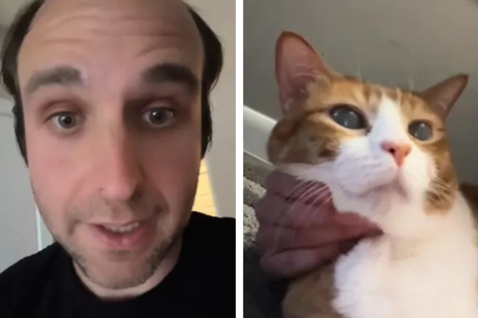 Cat owner shocked by cause of his pet's sudden cloudy eyes