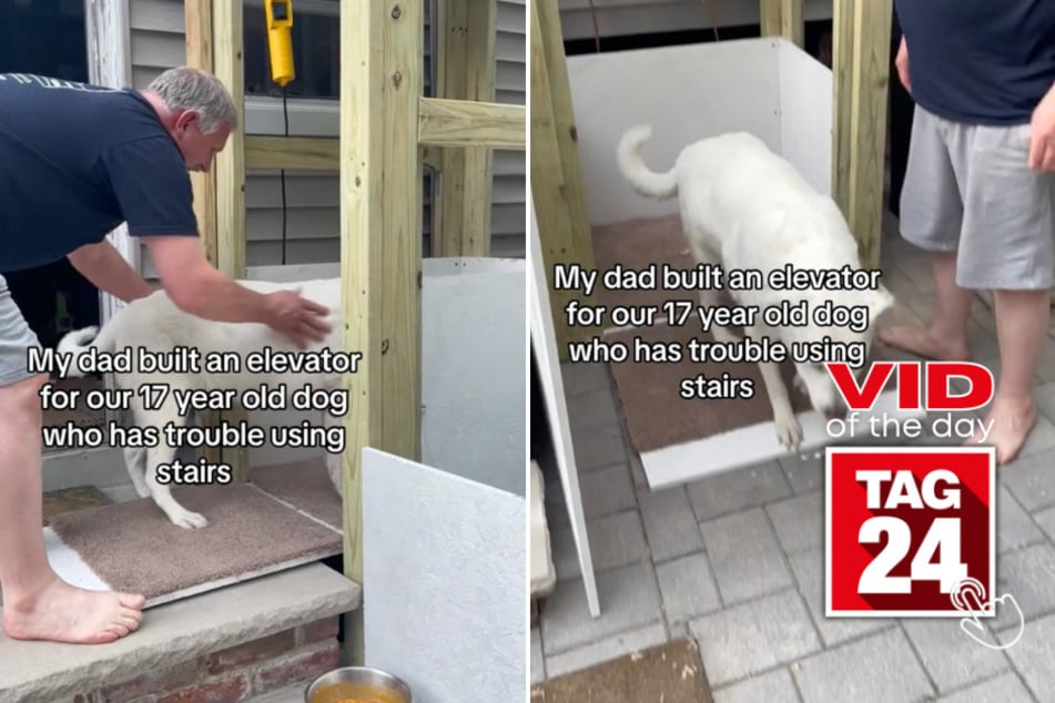 Viral Video of the Day for July 13, 2023: Man builds amazing lift for his senior dog!