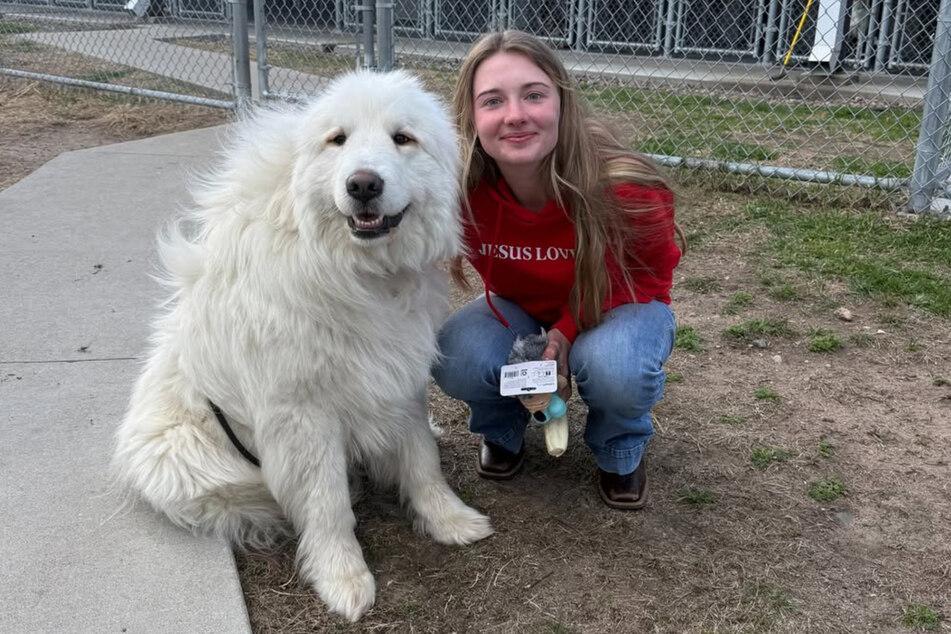 This big shelter dog has an hysterical phobia: he's scared of floors.