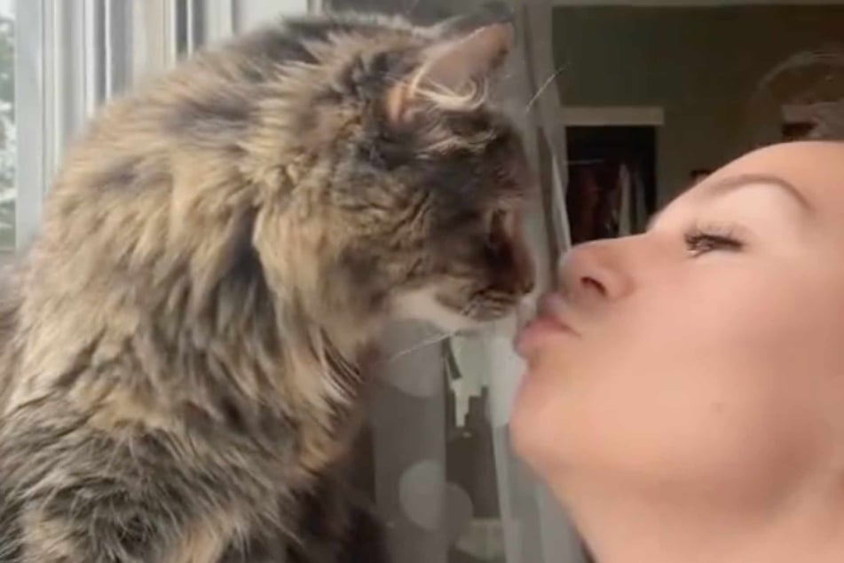 According to Nina, Maya is actually fairly affectionate to her owner at night and demands pets and snuggles.