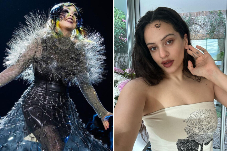 Talented artists Björk (l) and ROSALÍA have teamed up to create a new single titled Oral.