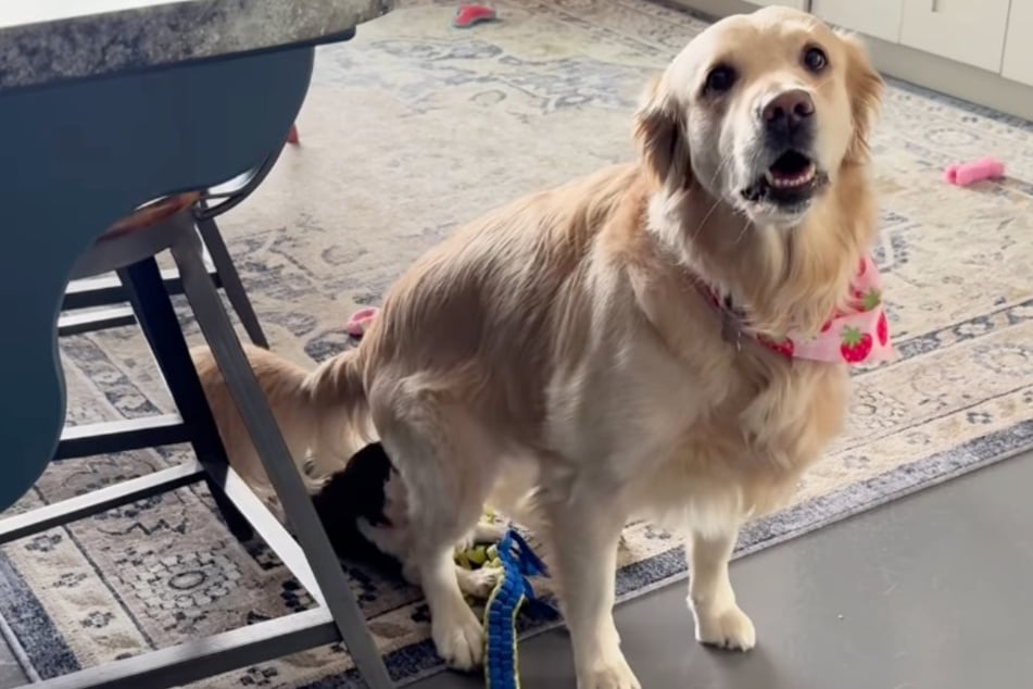 That's downright bold: Ruby sits right on top of Pearl!