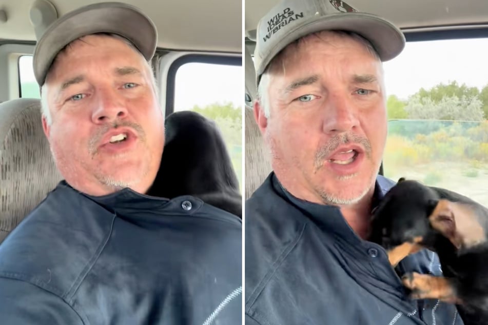 When Brian Rowlan pokes fun at cats in his viral TikTok hit, his Dachshund dog Bonnie quickly makes the satire clear.