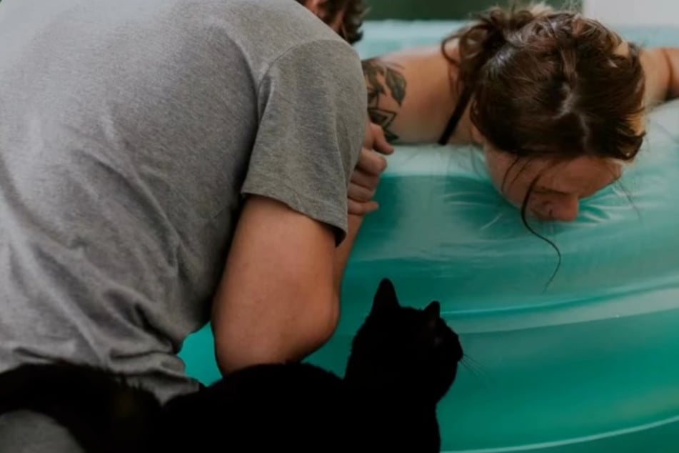 Cat's moving response to owner's home birth has TikTokers in their feels