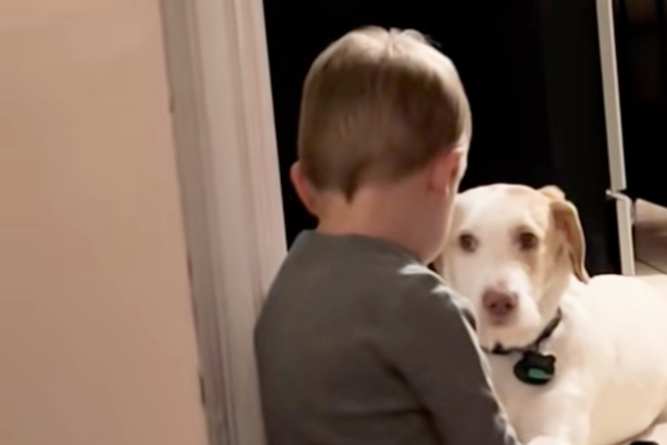 Toddler has serious heart-to-heart with his dog in hilarious interaction caught on video