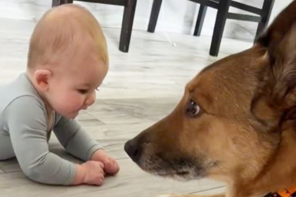 Baby Milton looks down while dog Luna looks to the side in irritation. These two don't have the right chemistry together – yet!