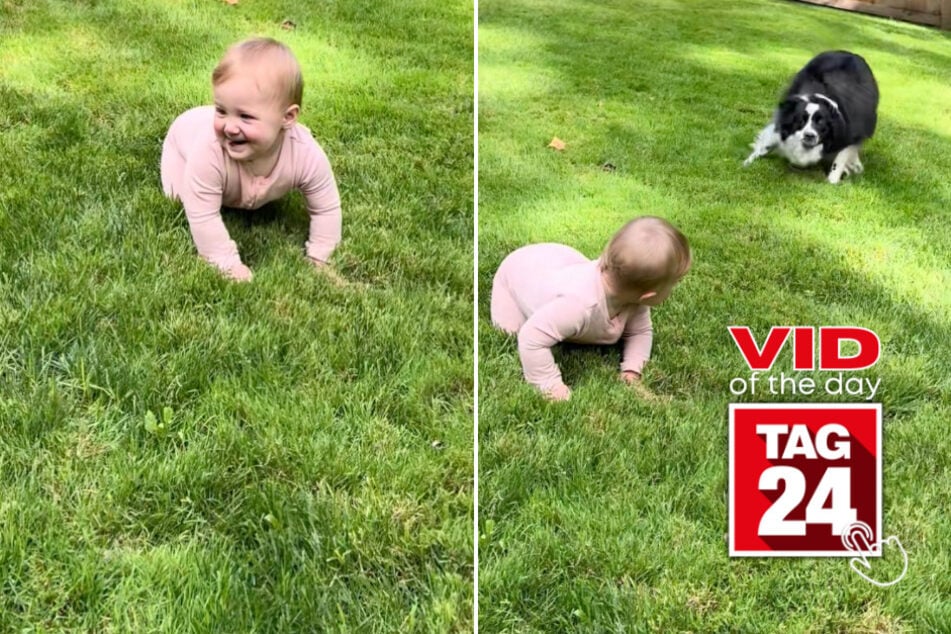 Viral Video of the Day for August 24, 2025: Baby giggles as family dog gets the zoomies!