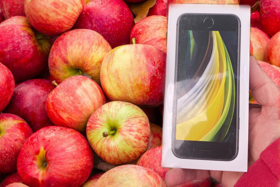 Man's online grocery order is more "fruitful" than he expected!