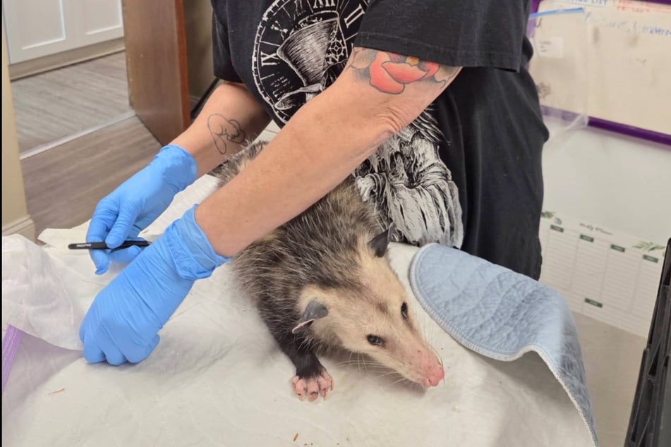 Ruby's case pulled on her rescuer's heartstrings. 
